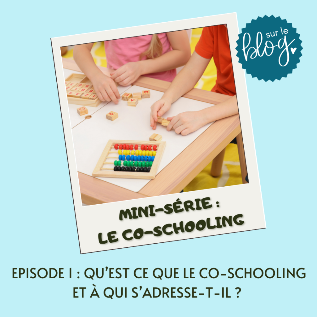 co-schooling-présentation-description-apprendre autrement-principes