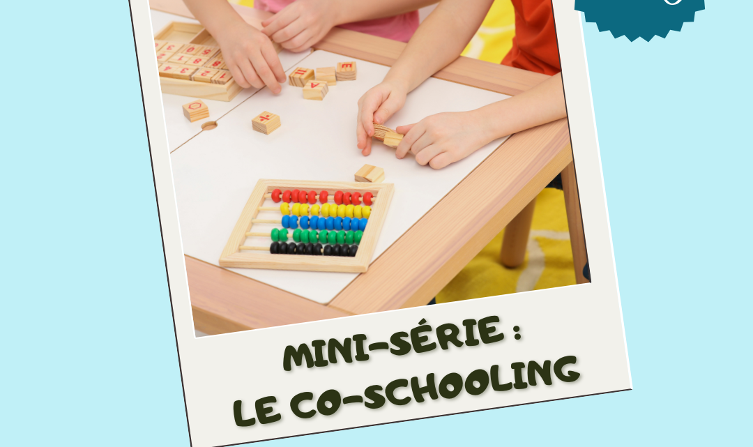 co-schooling-présentation-description-apprendre autrement-principes