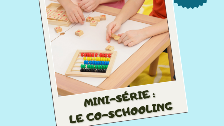 co-schooling-présentation-description-apprendre autrement-principes