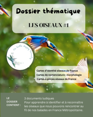 activité oiseaux, apprendre en s'amusant, dossier thématique, activité enfant, cartes de nomenclature, cartes à pinces, carte d'identité, bird