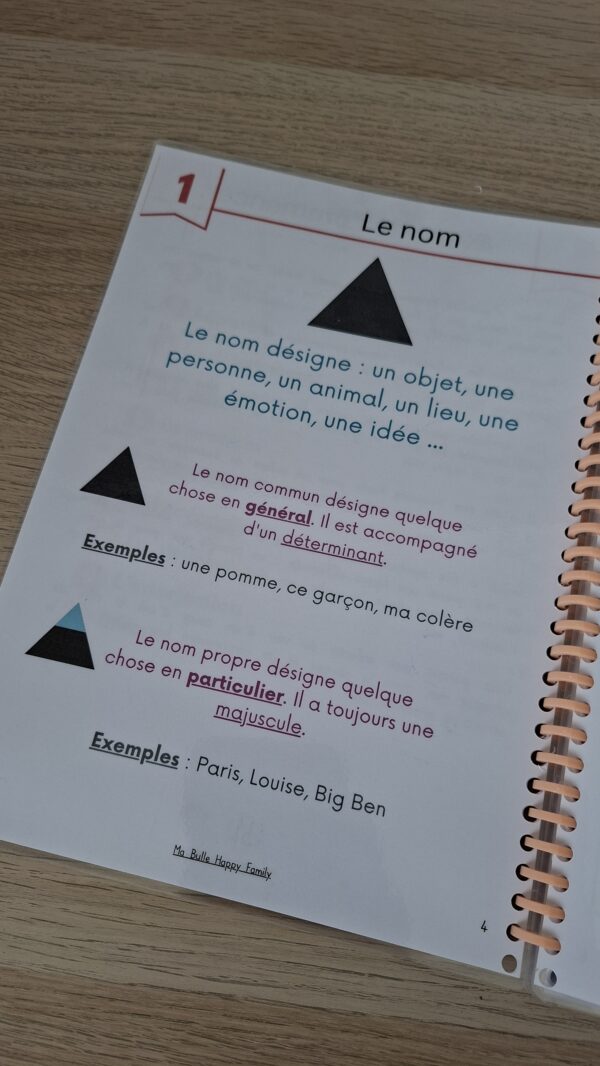 livret d'activités les natures des mots pour réviser la grammaire, leçon sur le nom.