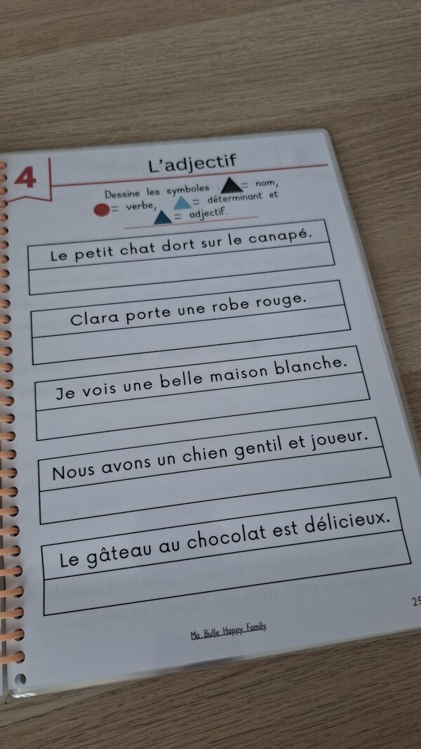 livret d'activités les natures des mots pour réviser la grammaire. Exercices sur l'adjectif.