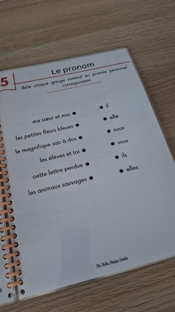 livret d'activités les natures des mots pour réviser la grammaire. Exercices sur les pronoms.