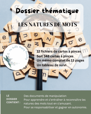 Fichier de cartes à pinces imprimées pour réviser les natures de mots