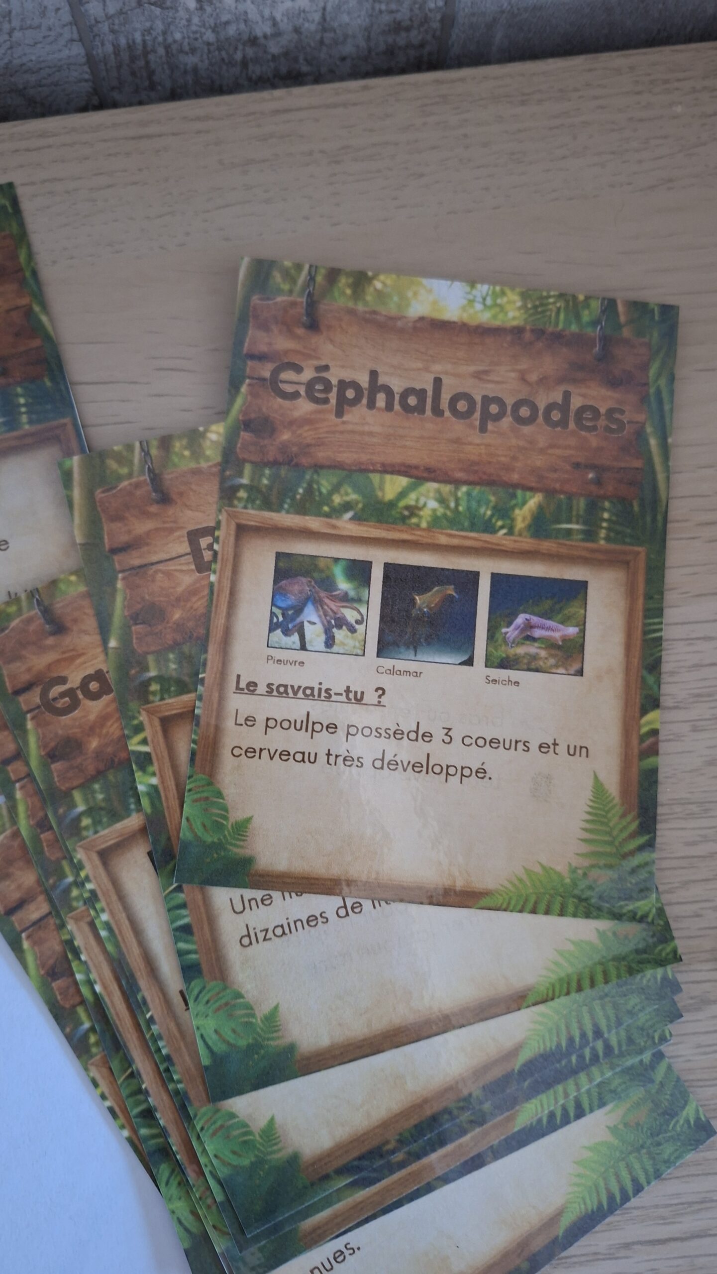 alternative cahier de vacances collège