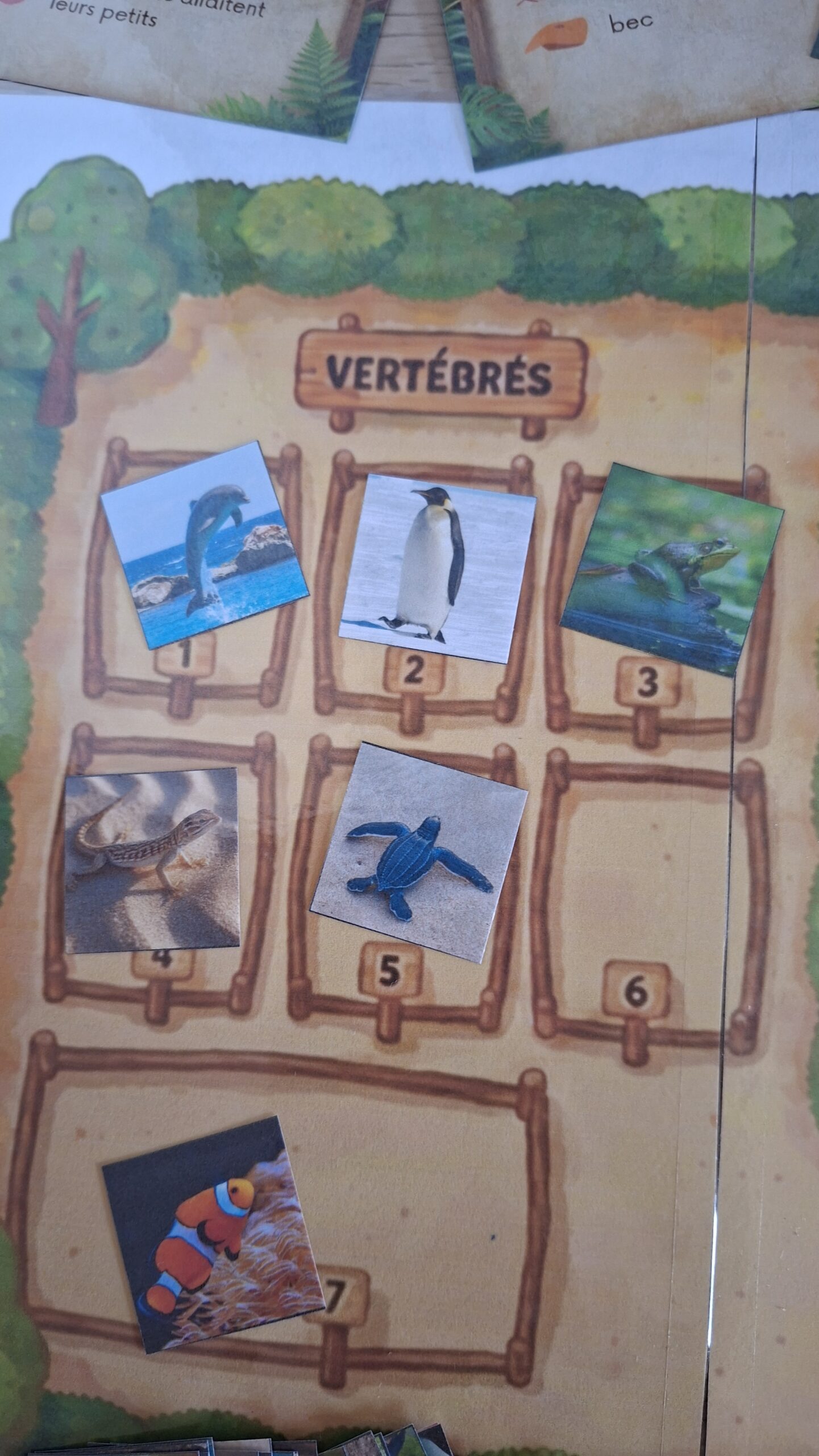 alternative cahier de vacances collège