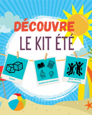 alternative cahier de vacances collège